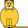 [The X-CAT]